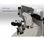 Microsurgery 3D